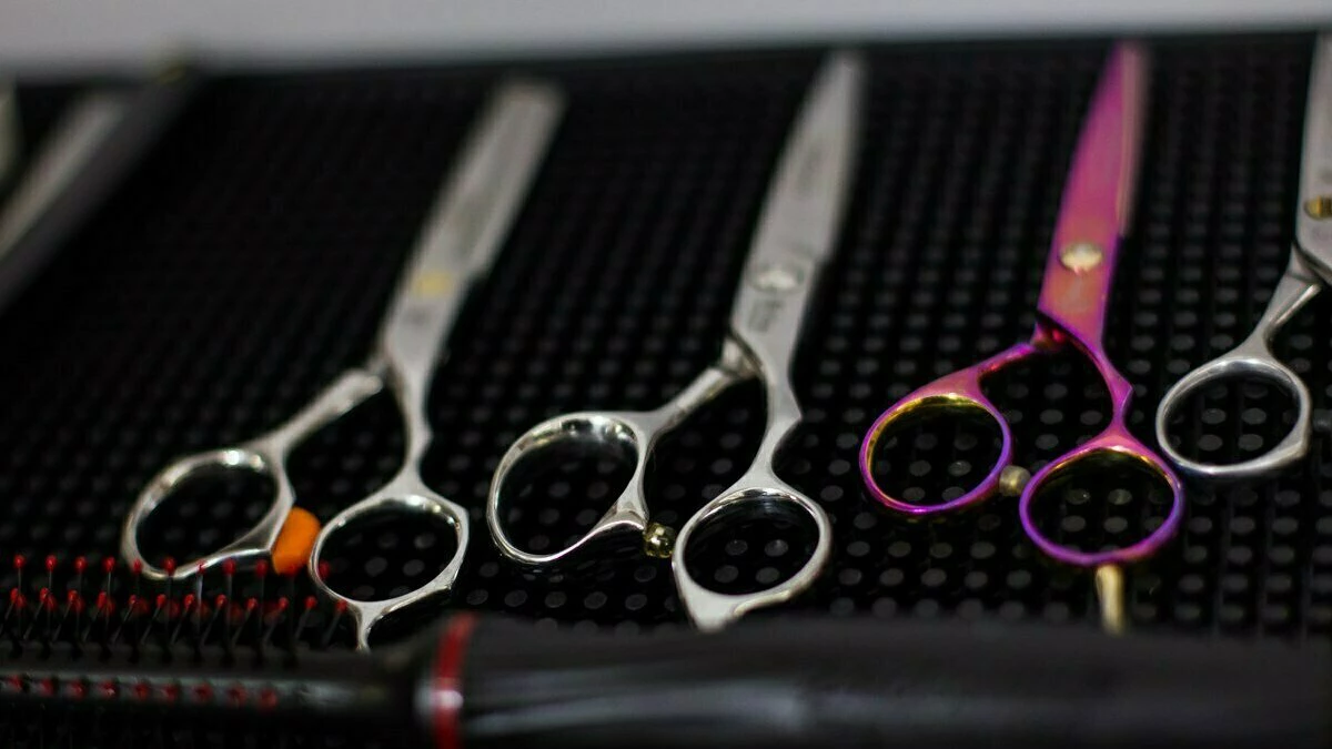 Александр Подгорчук