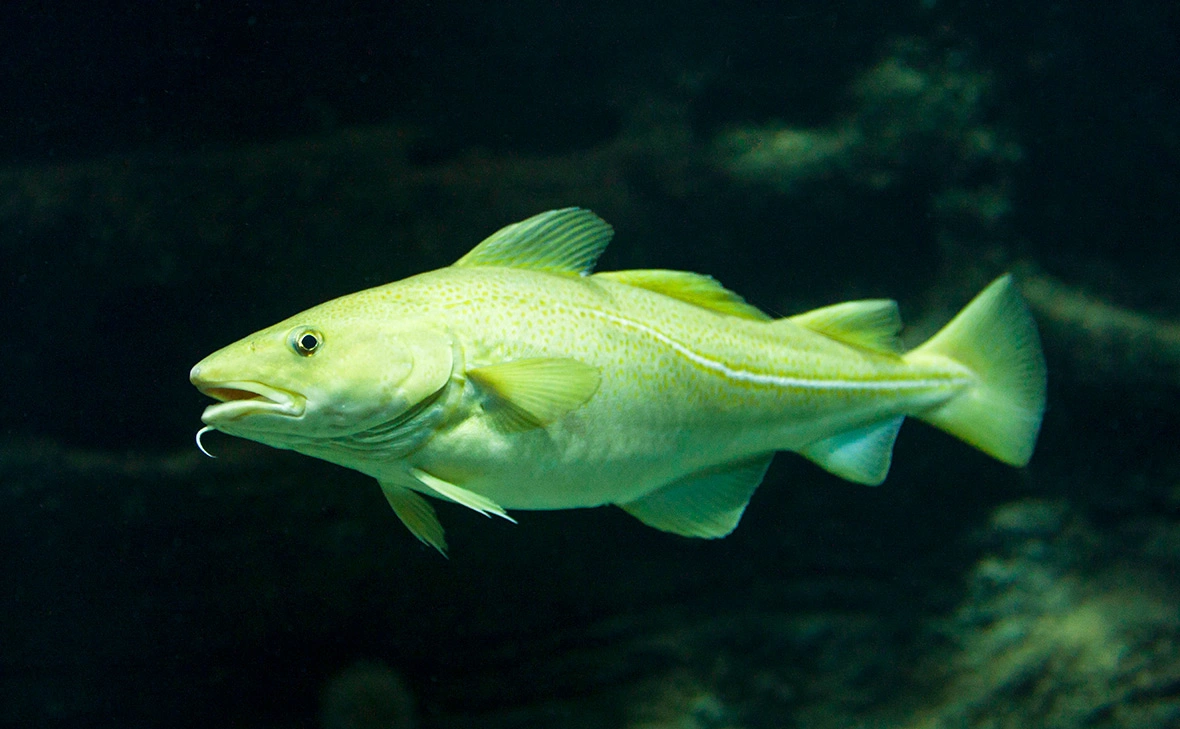 F. Hecker / blickwinkel / Global Look Press