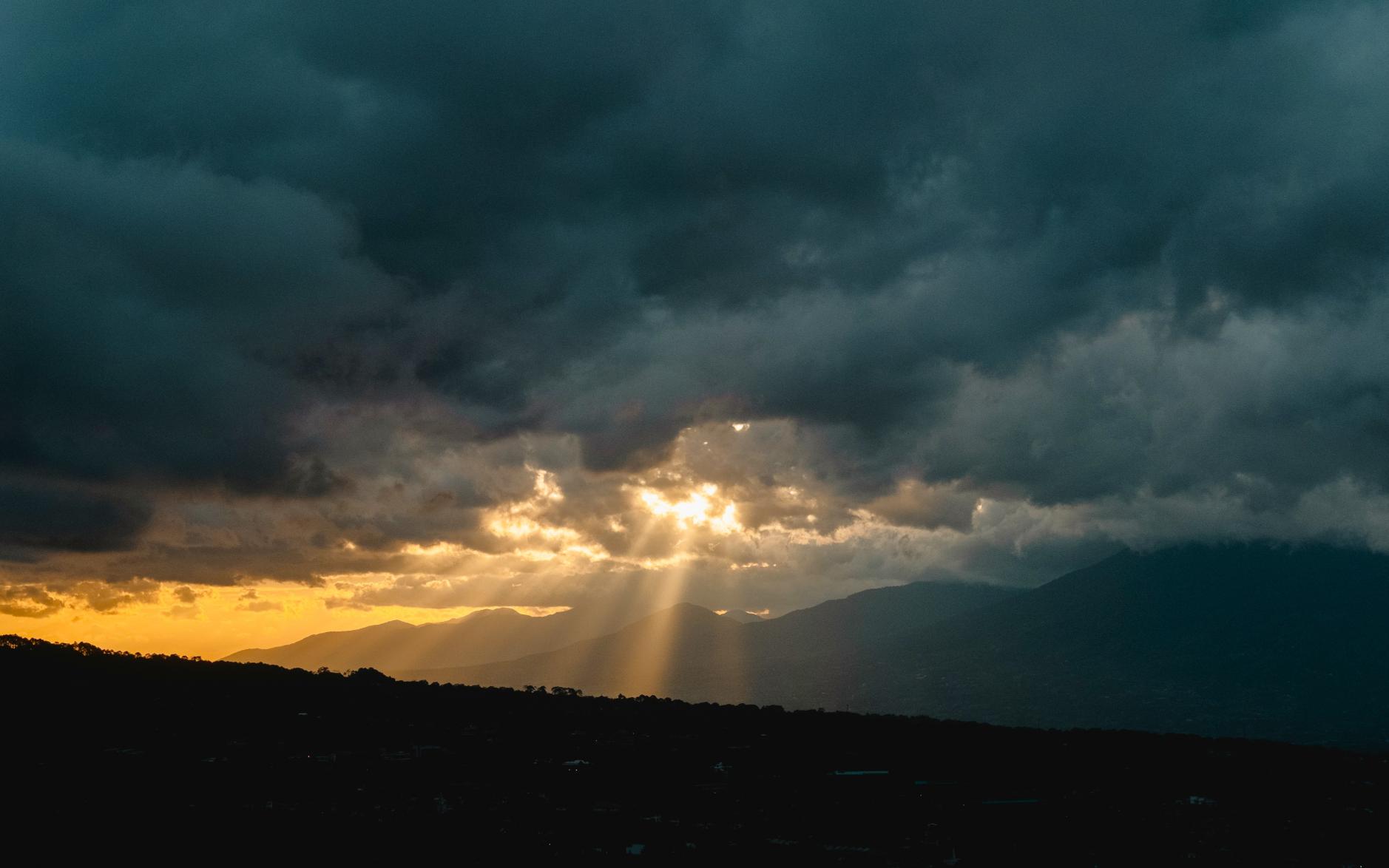 Фото: Shutterstock