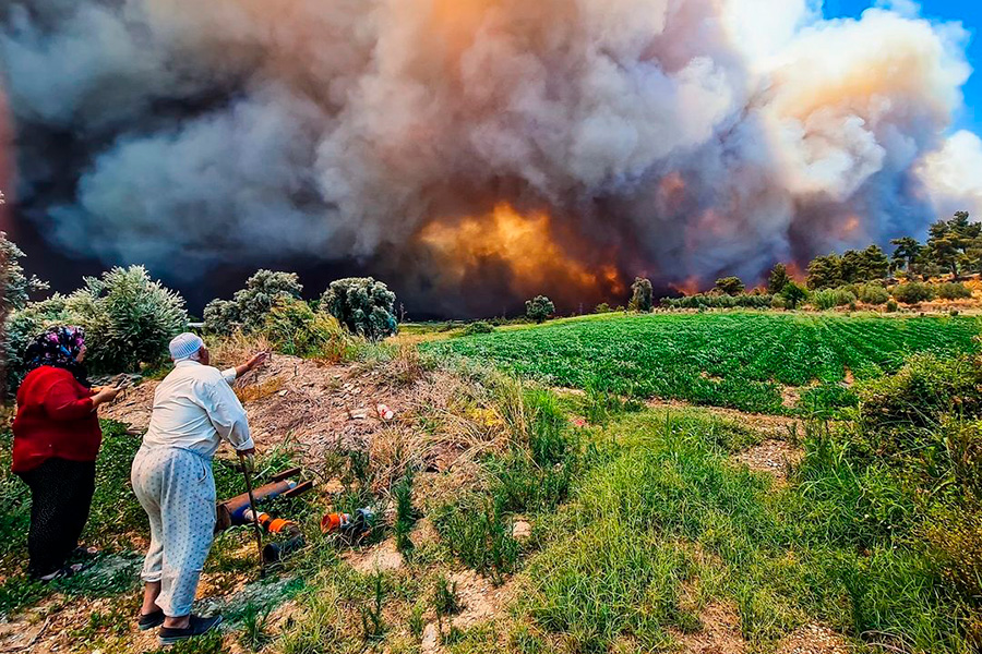Пожар в лесу в районе города Манавгат начался 28 июля в полдень. Огонь уничтожил несколько десятков гектаров леса, отмечает газета Hurriyet