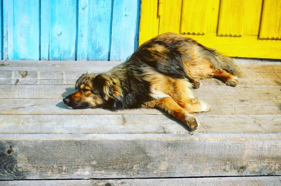 РБК Приморье 