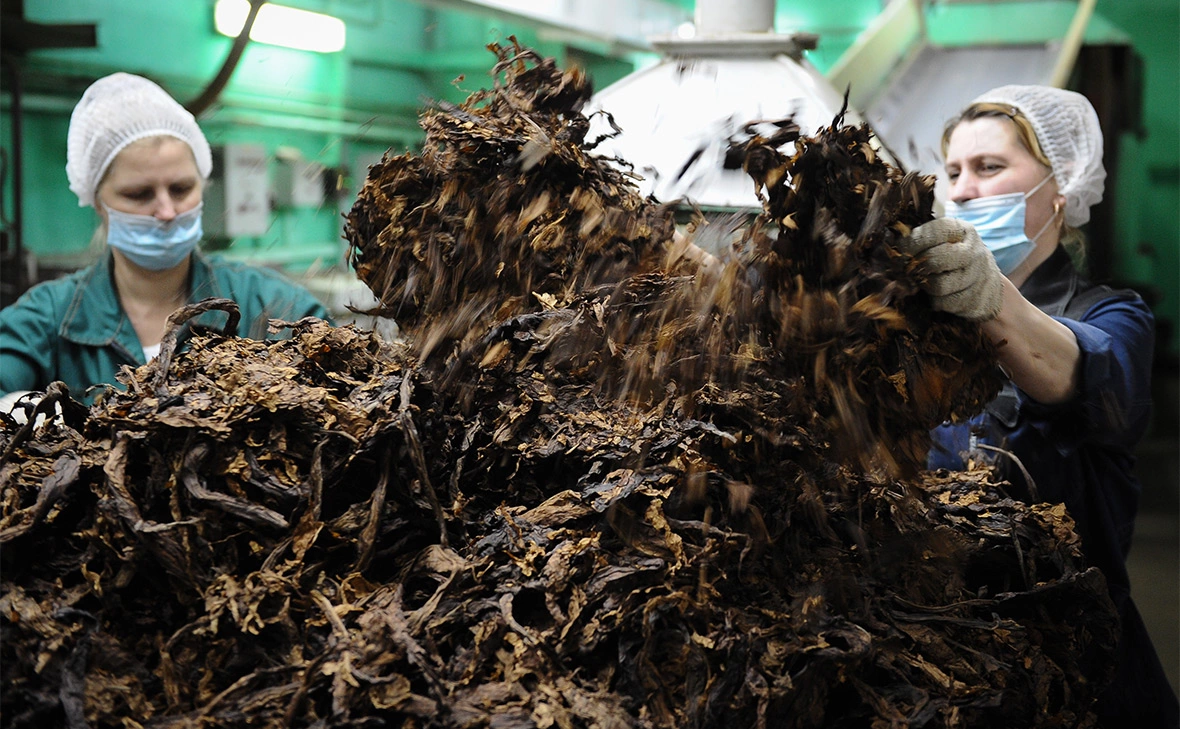 Александр Рюмин / ТАСС