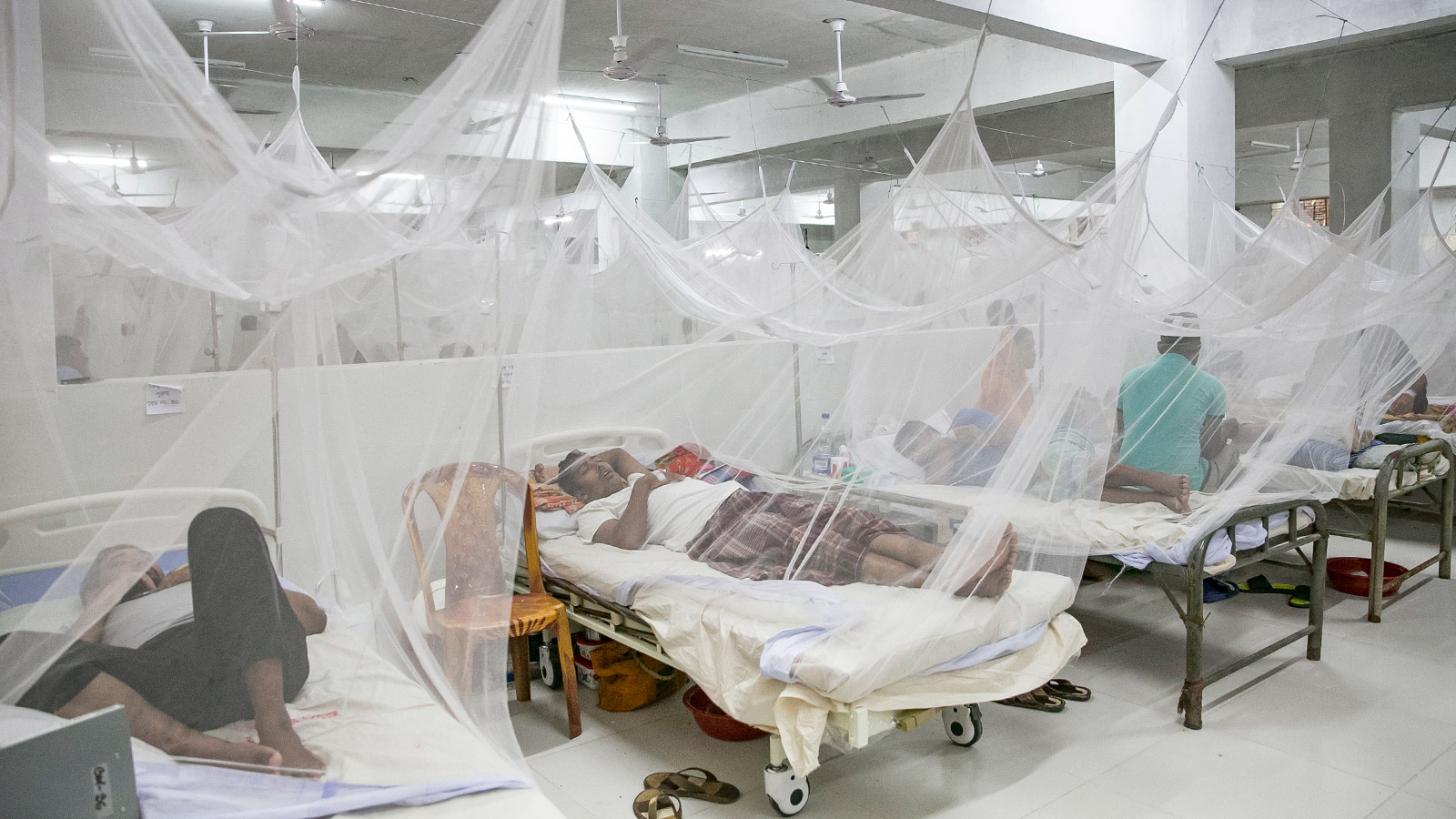 <p>Заболевшие лихорадкой Денге в больнице в Бангладеше. 18 августа 2019 года</p>
