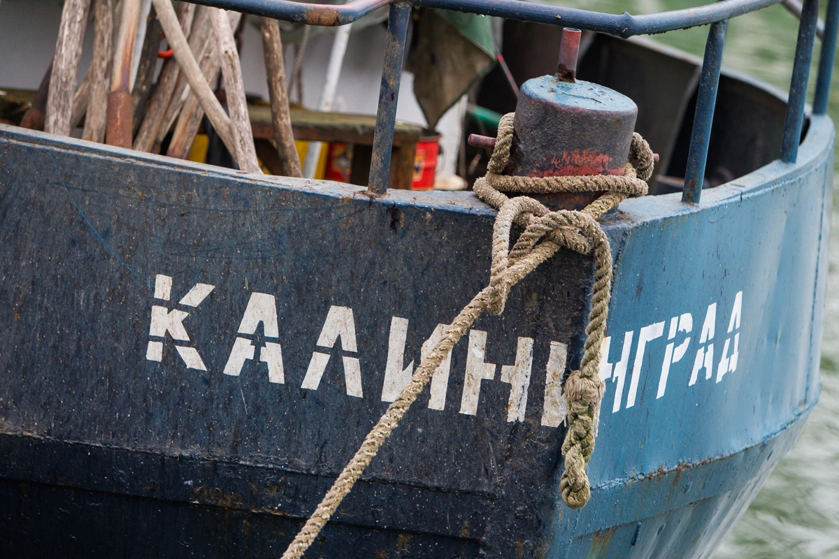 Александр Подгорчук