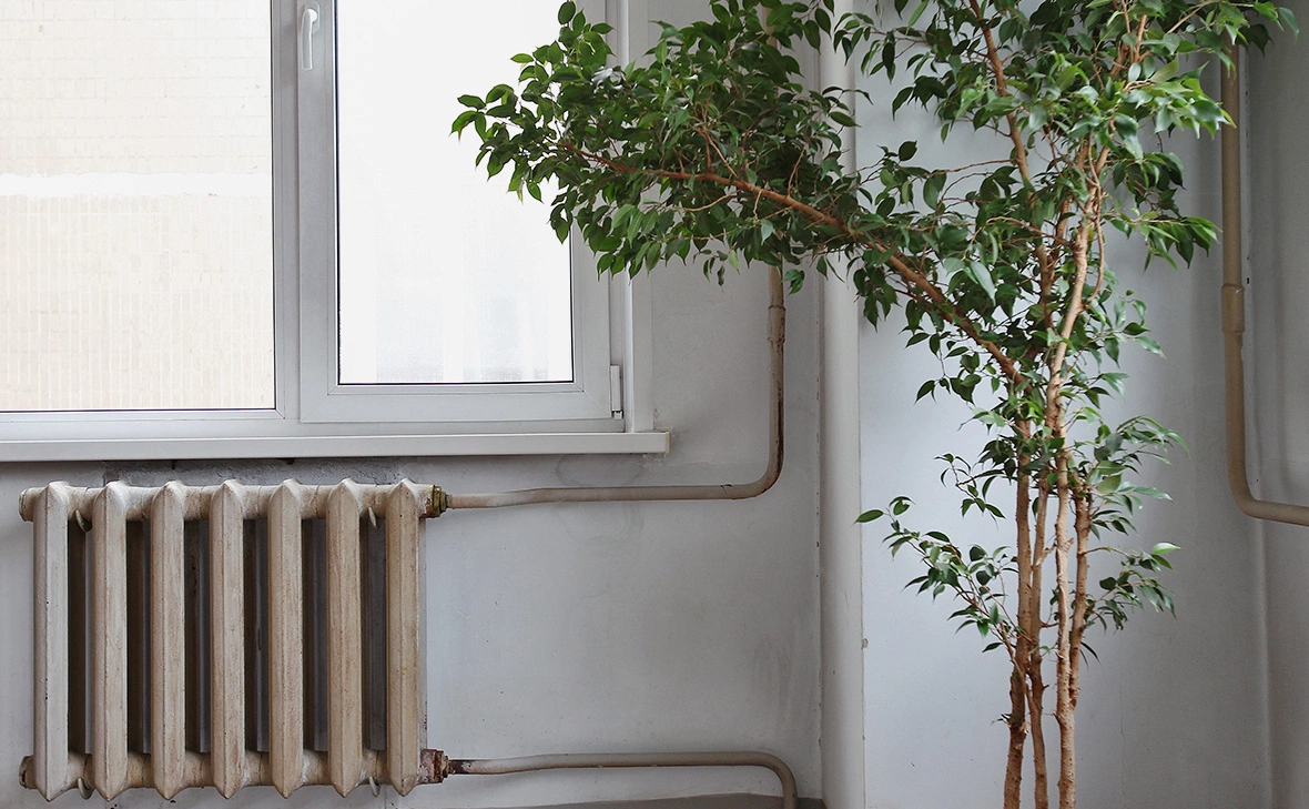 Мария Девахина / РИА Новости