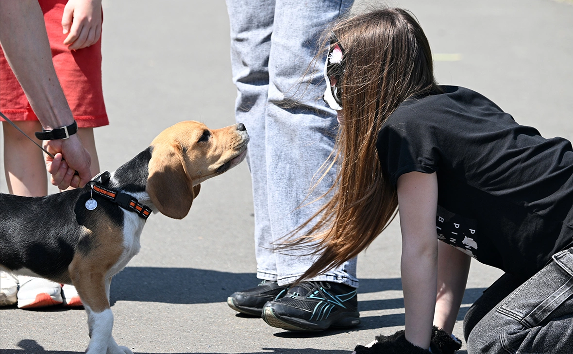 Максим Богодвид / РИА Новости