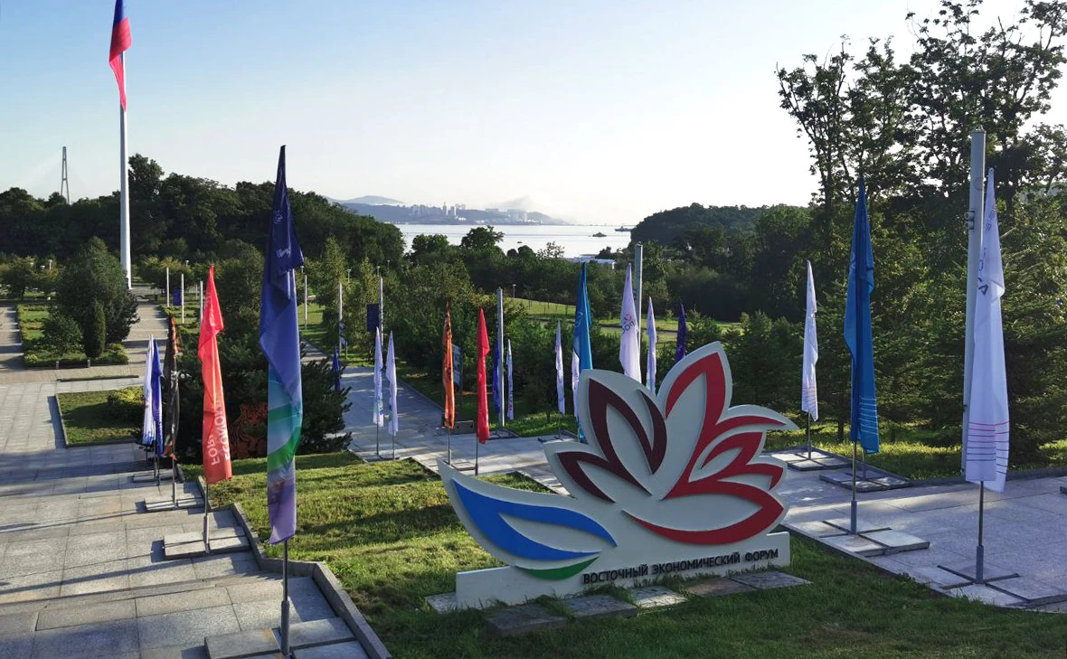 Евгения Стогова / РБК