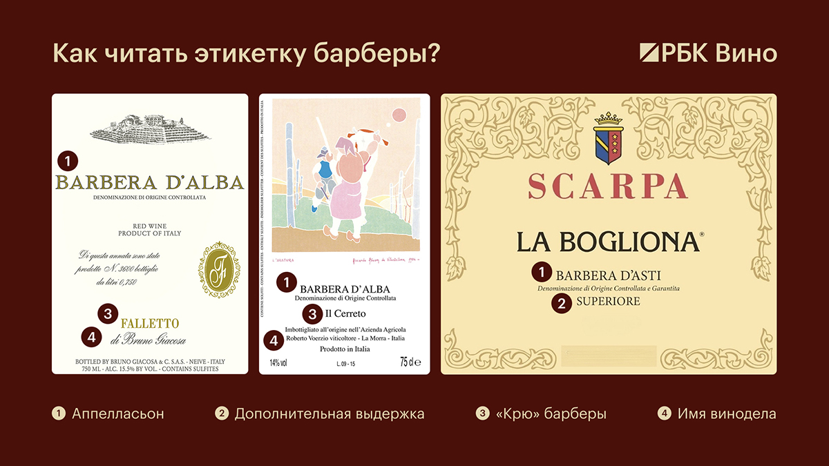 Как читать этикетку барберы? Рассказывает эксперт