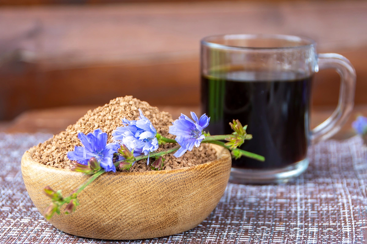 Цикорий не содержит кофеина, поэтому он не имеет такого же стимулирующего эффекта, как кофе