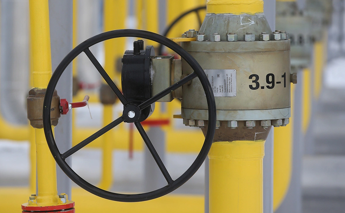 Егор Алеев / ТАСС