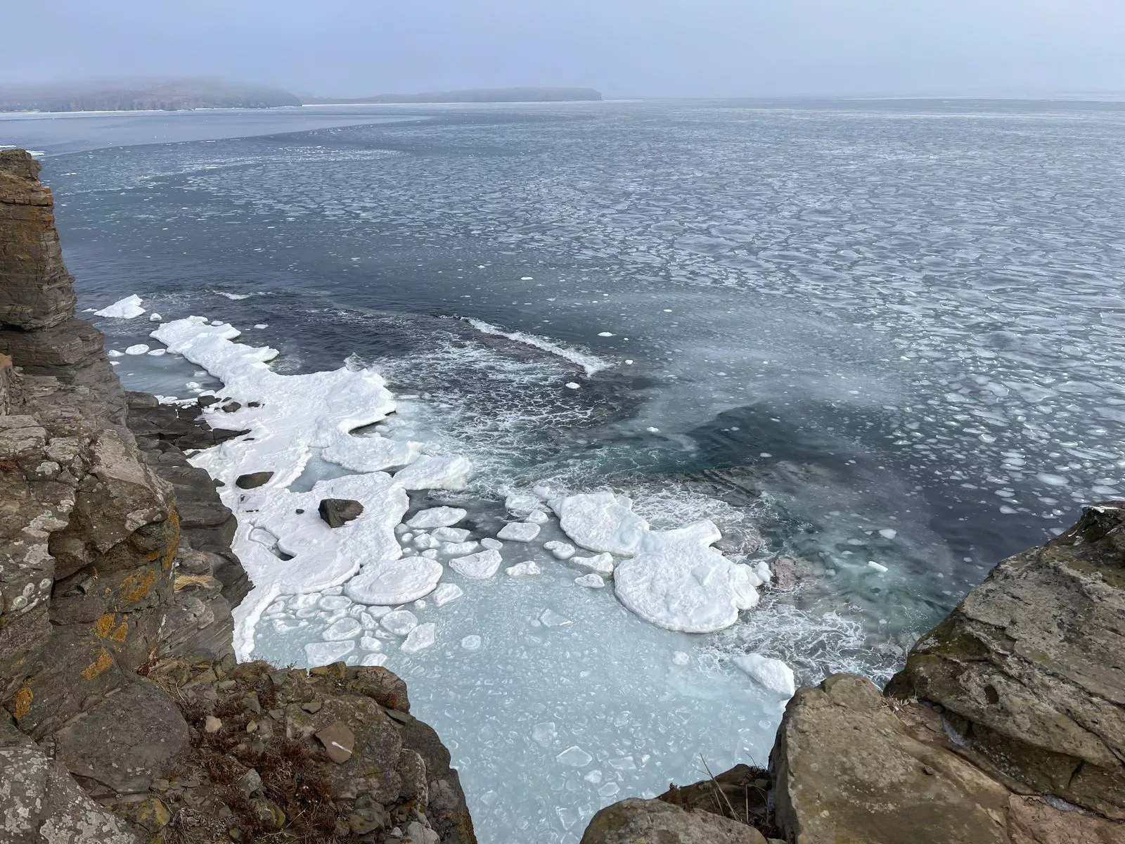 РБК Приморье