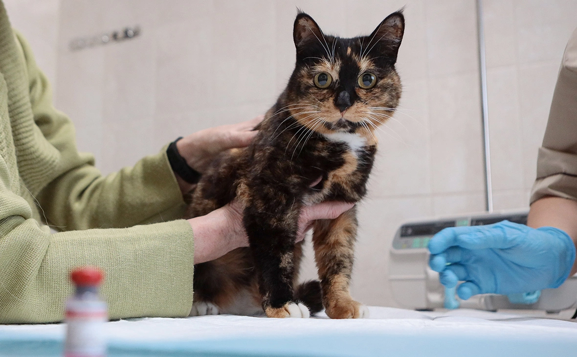 Наиль Фаттахов / ТАСС