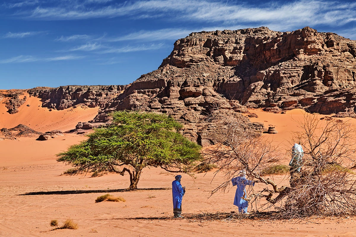 Почти 80% территории Алжира занимает пустыня Сахара