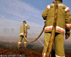 Иран предложил России свою помощь в борьбе с пожарами
