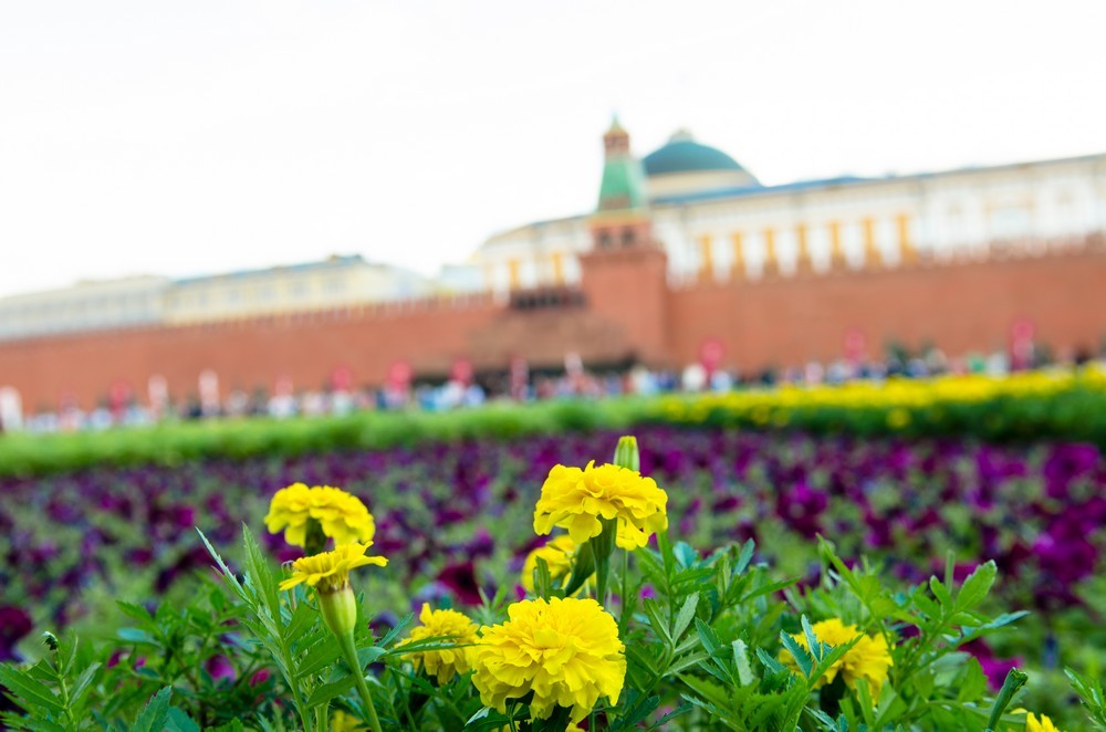 Закрытие Фестиваля цветов на Красной площади