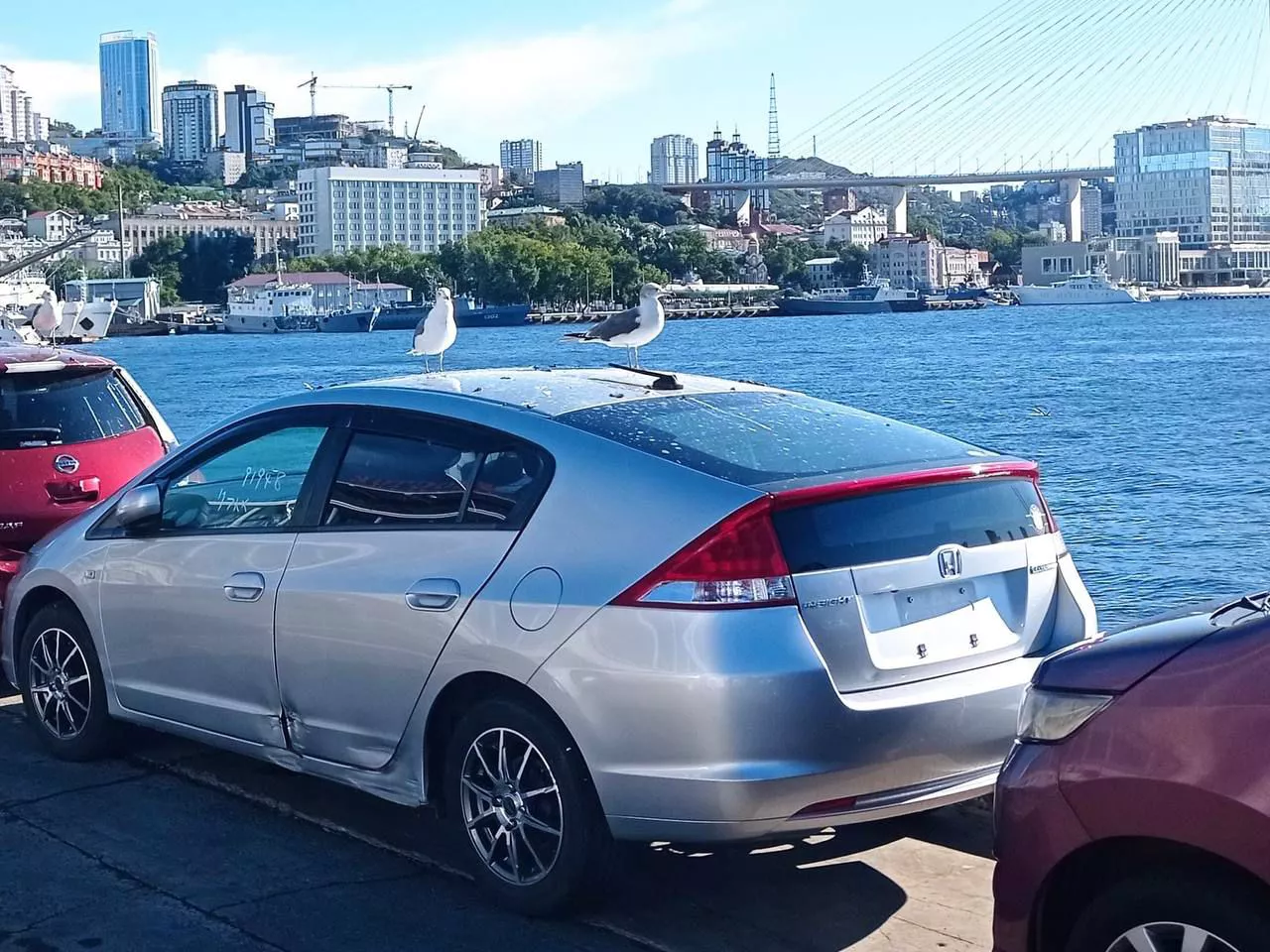 РБК Приморье