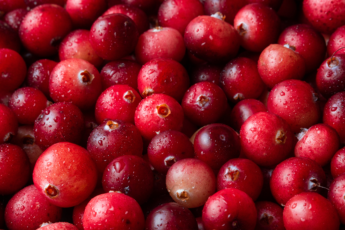 Клюква — одна из самых полезных ягод