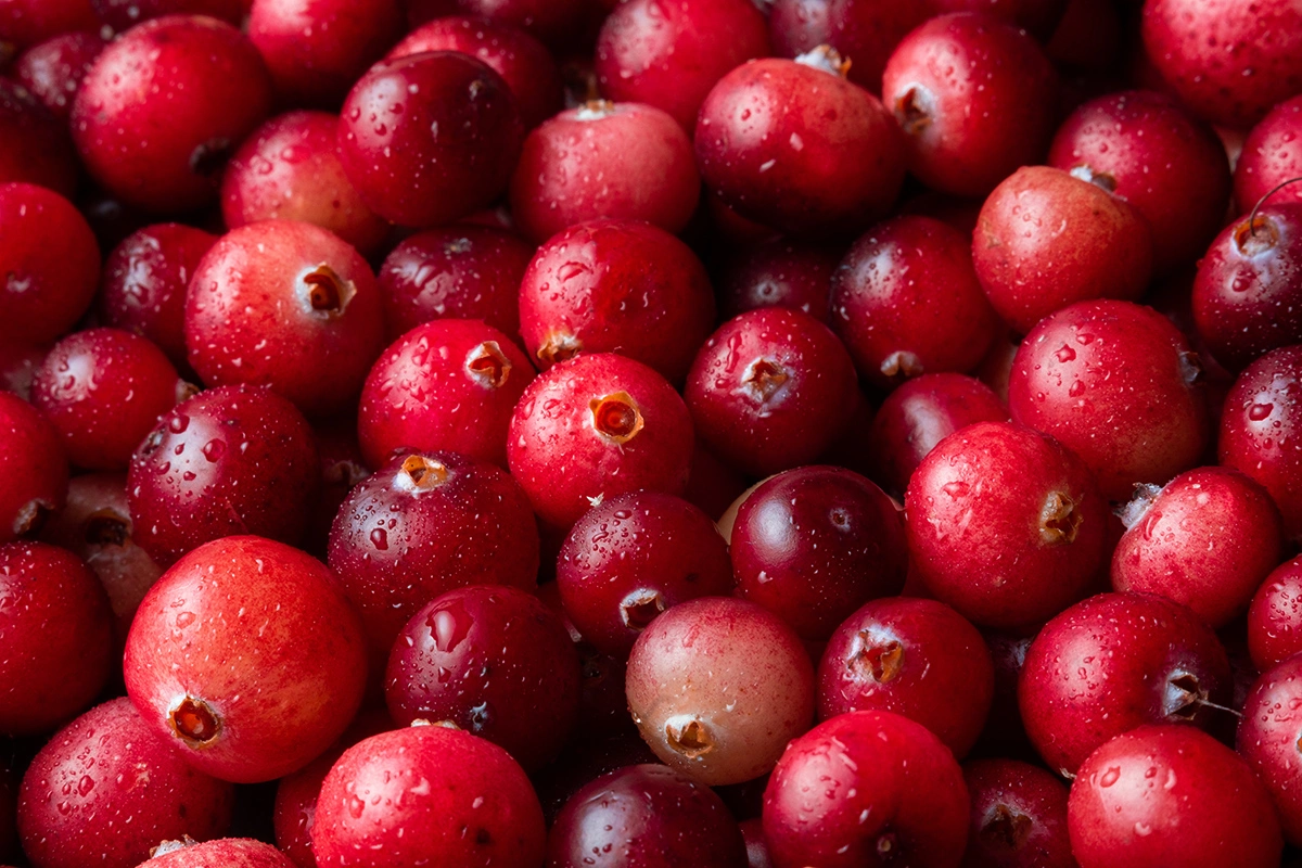 Клюква — одна из самых полезных ягод