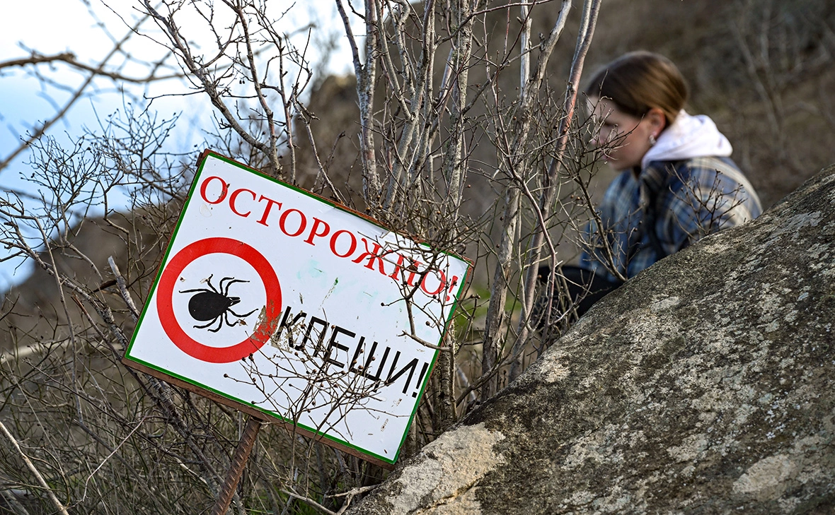 Константин Михальчевский / РИА Новости