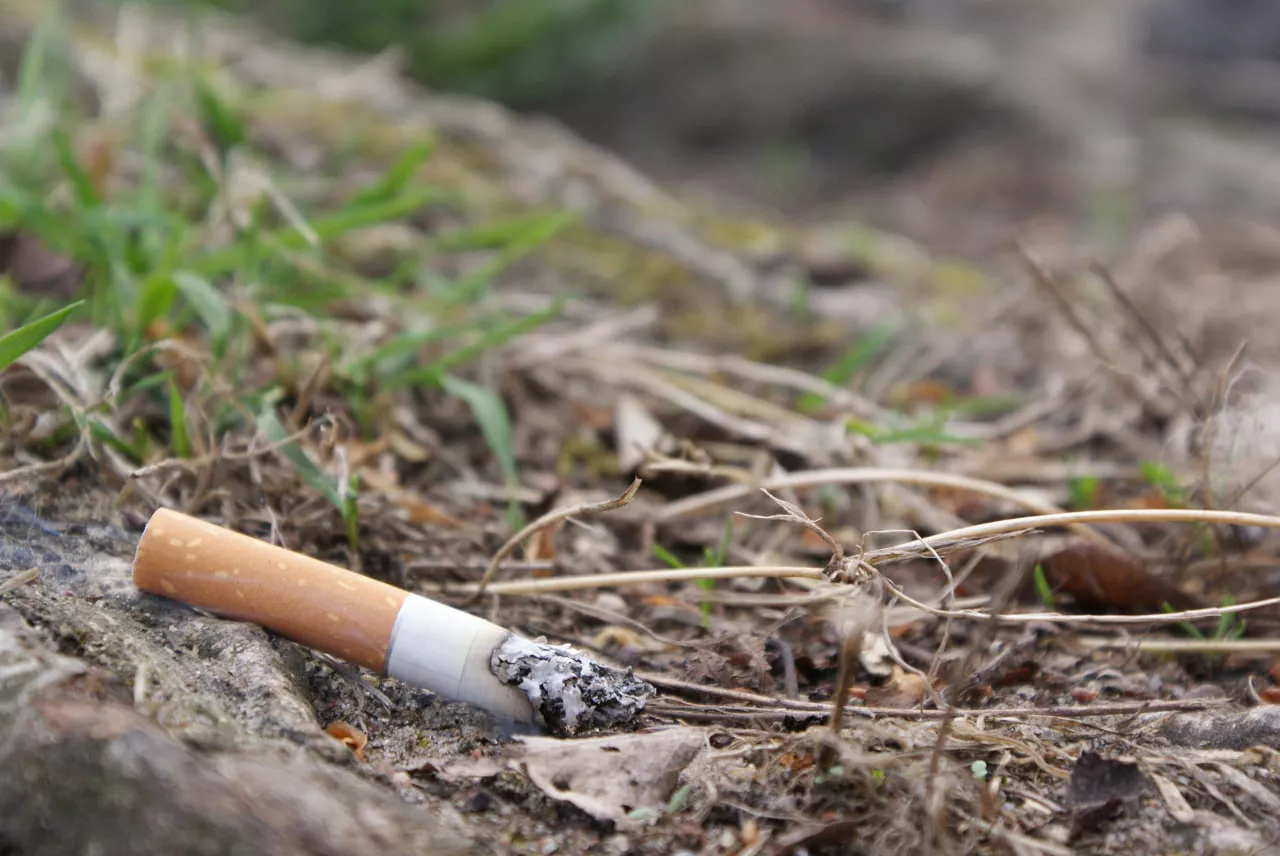 Александр Подгорчук