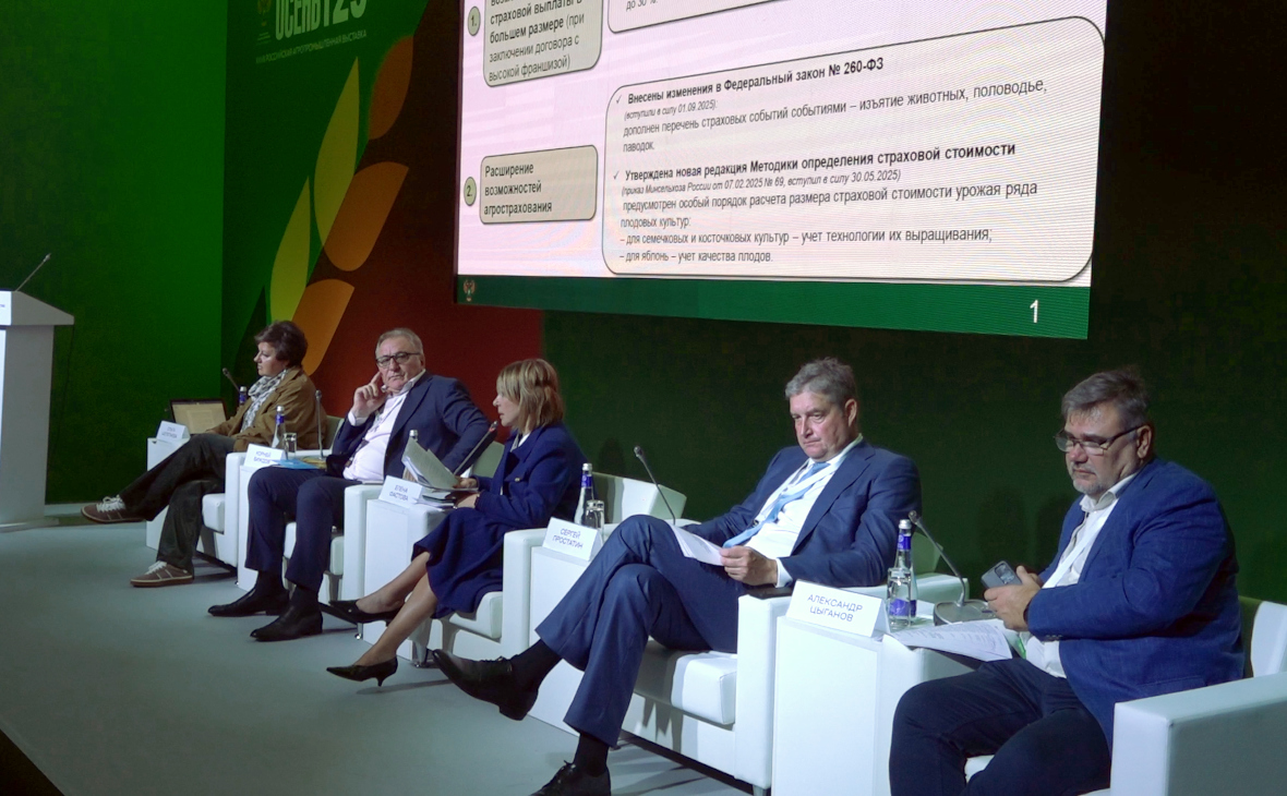 Фото: РБК Черноземье