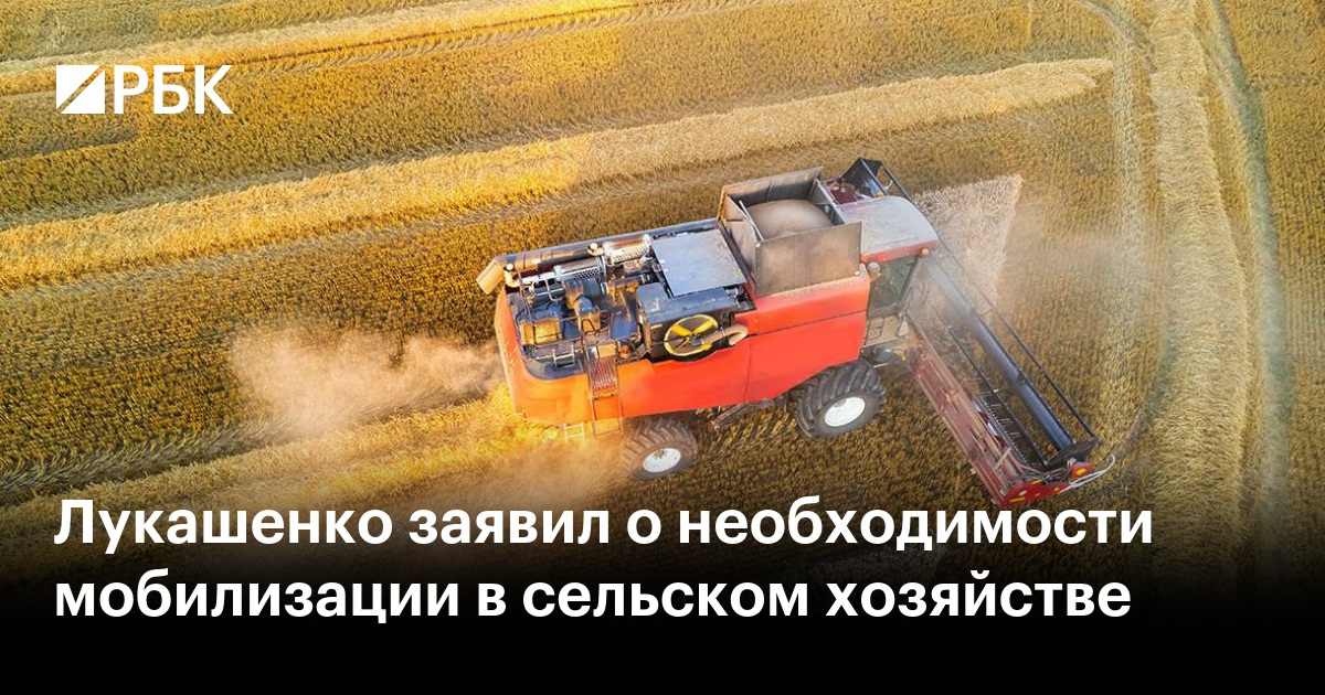 Лукашенко заявил о необходимости мобилизации в сельском хозяйстве