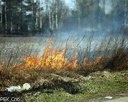 В Новгородской области дотла сгорела деревня