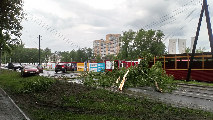 По улице Боровая в районе Перми II дерево упало на провода