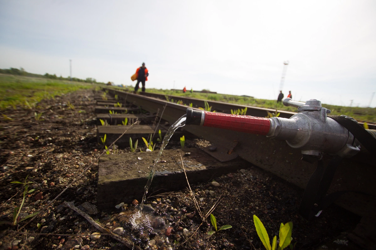 Александр Подгорчук