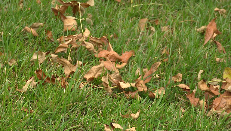 Фото: РБК Пермь