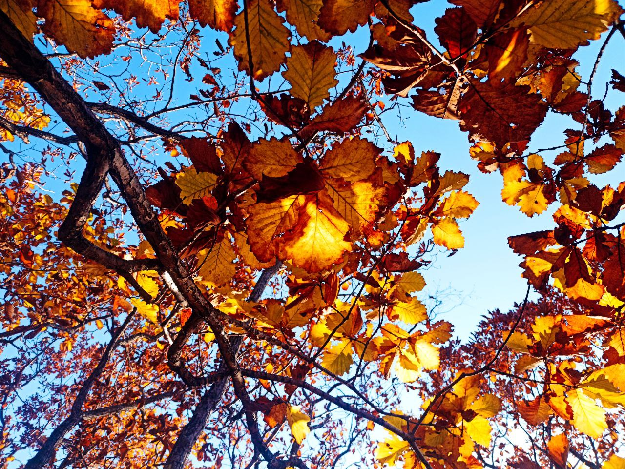 Фото: РБК Приморье