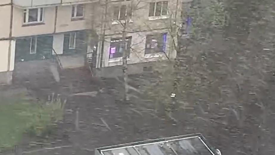 Снег пошел в Петербурге и Ленинградской области. Видео