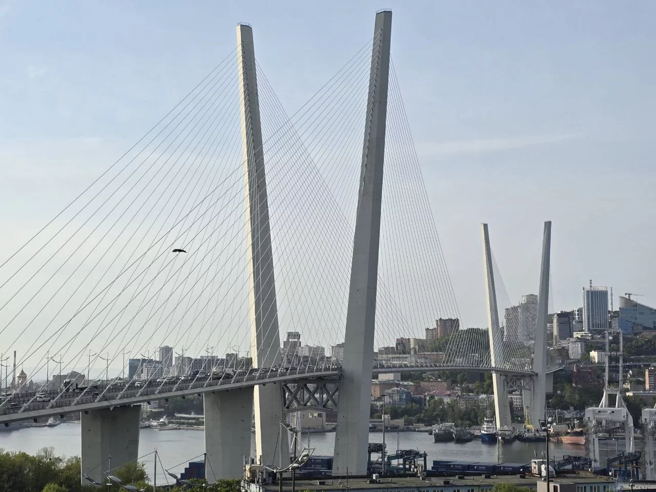 РБК Приморье