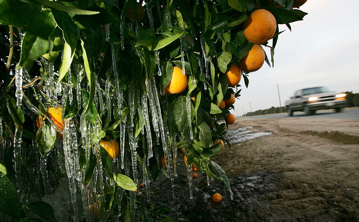 Justin Sullivan / Getty Images