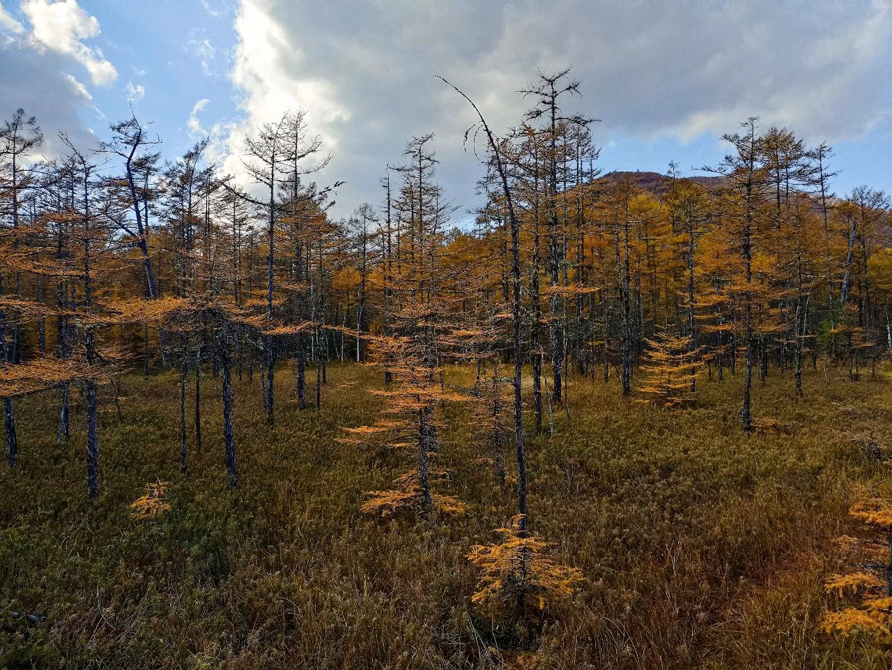 РБК Приморье