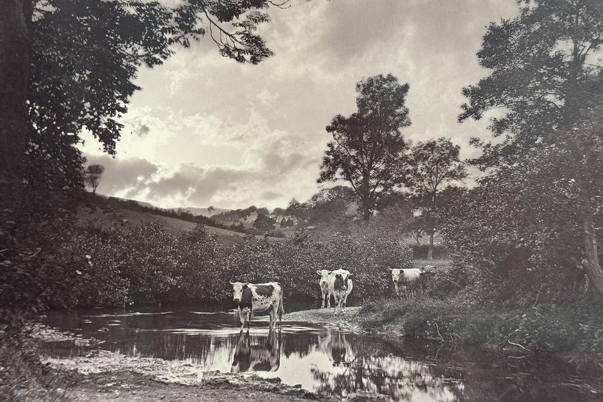 Генри Робинсон, «Летний вечер»