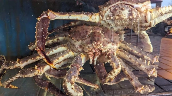 РБК Приморье