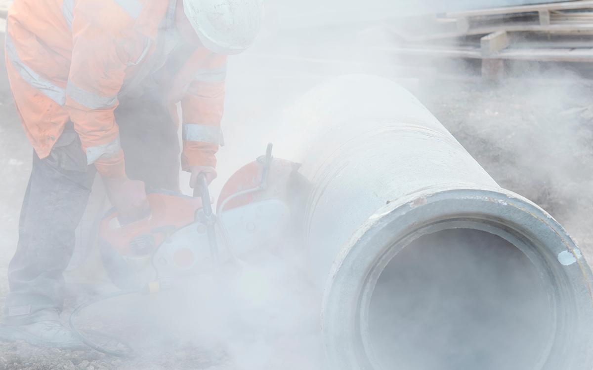 Фото: Irene Miller / Shutterstock / FOTODOM