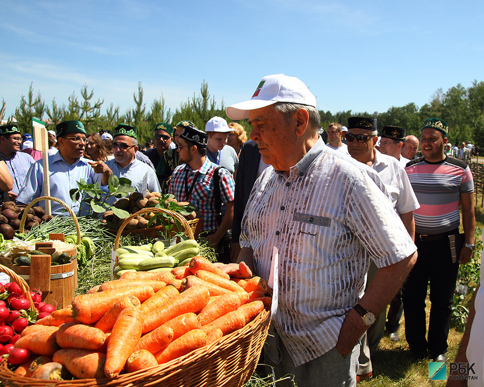 В Татарстане переписано порядка 70% всех сельскохозяйственных организаций