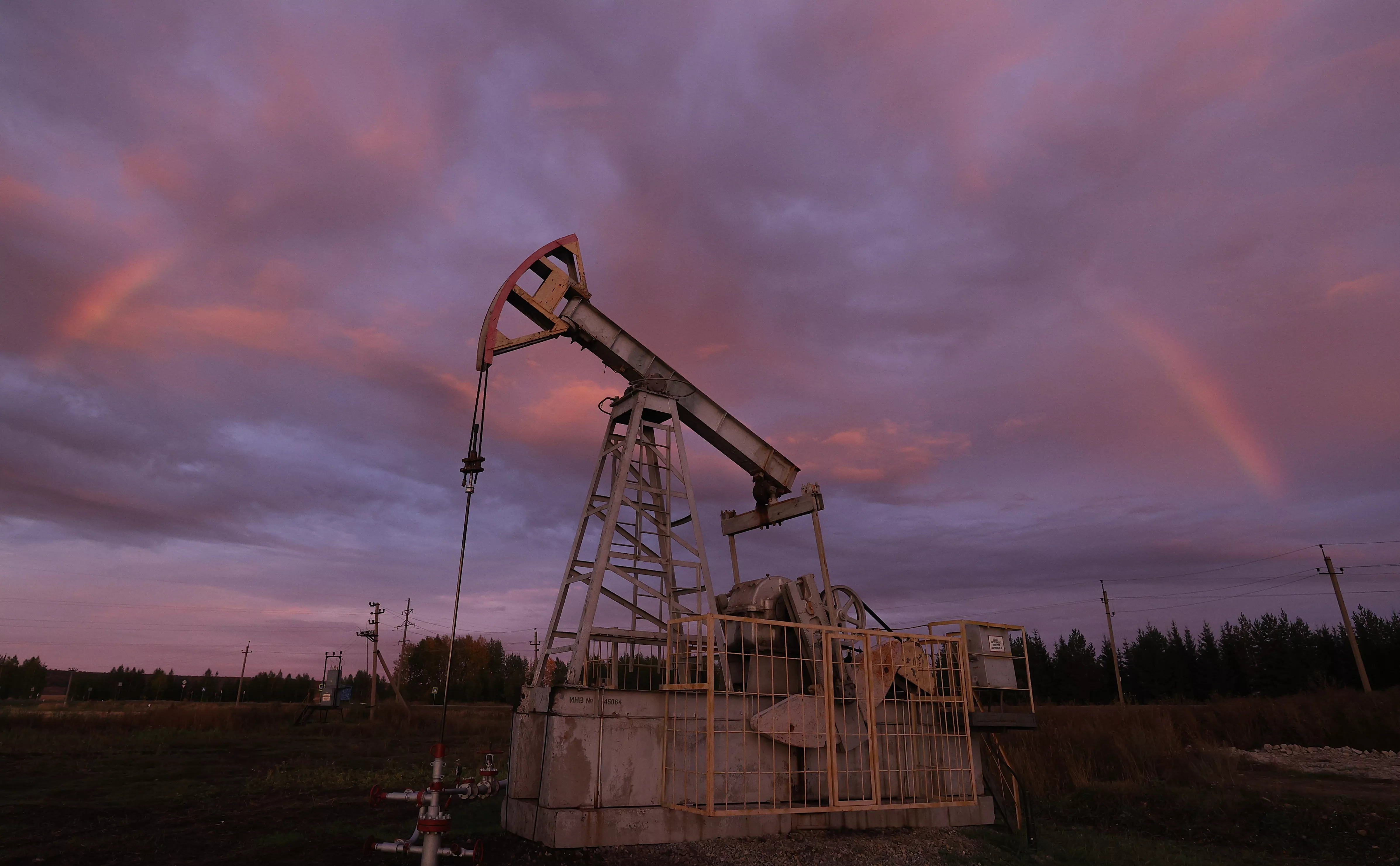 Егор Алеев / ТАСС