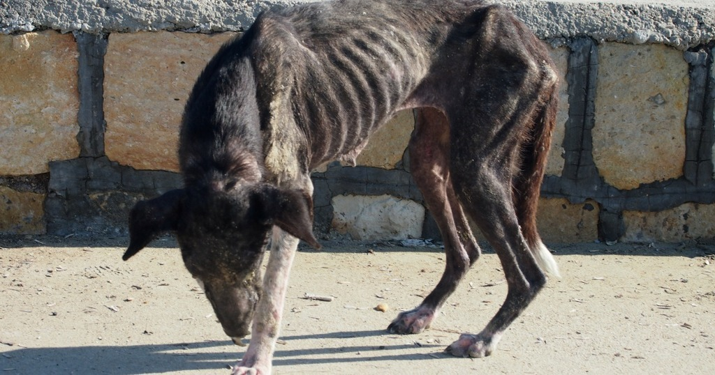 РБК Приморье