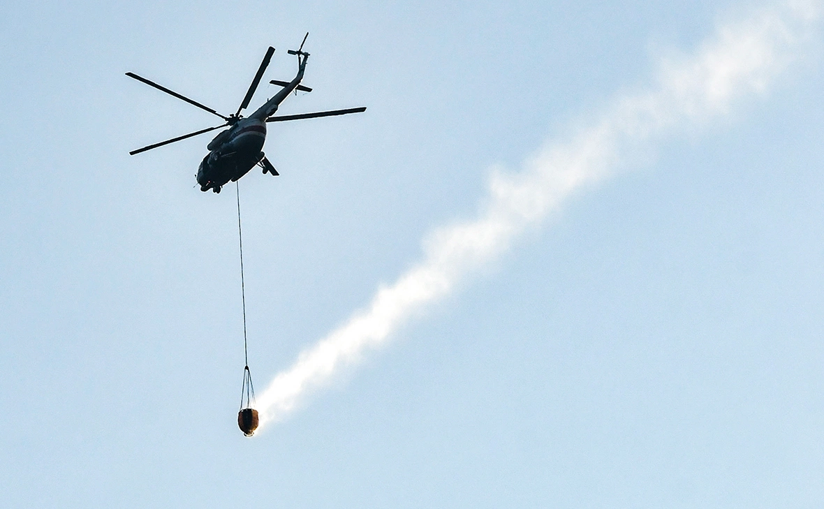 Роман Соколов / ТАСС