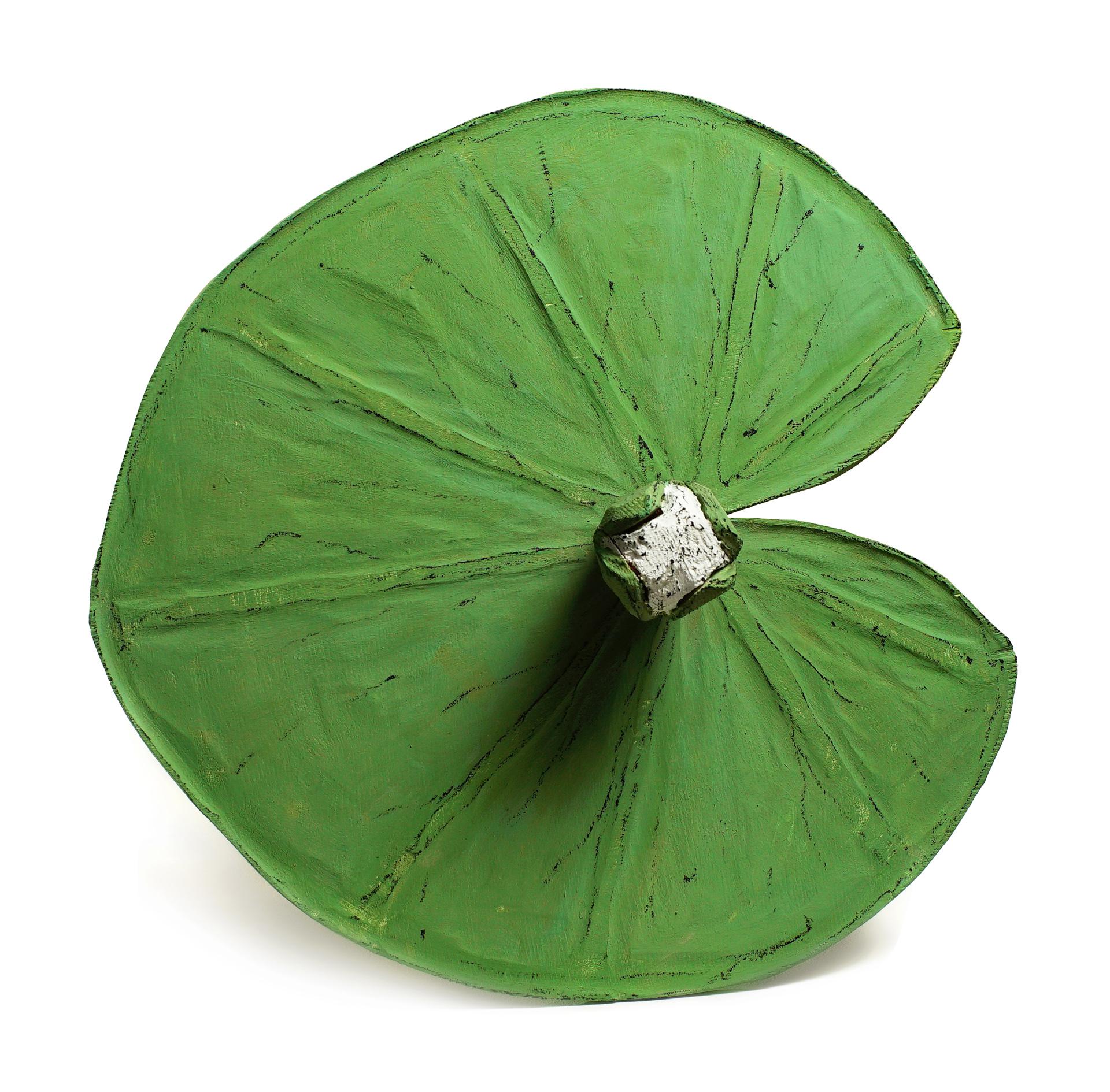 Всеволод Абазов. Кувшинка. 2024