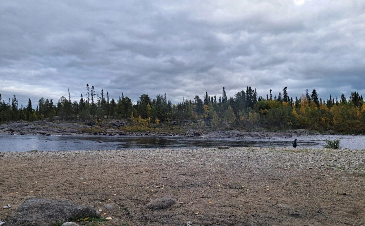 РБК Мурманск