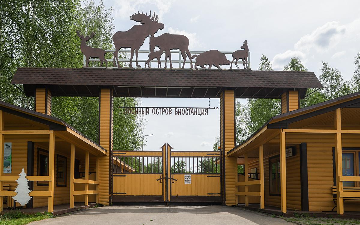 ГД отклонила запрет застройки «Лосиного острова» в Москве. Чем ГД отклонила запрет застройки «Лосиного острова» в Москве. Чем