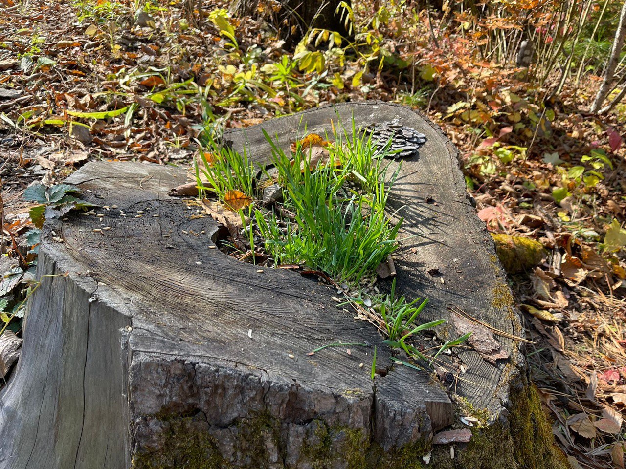 Фото: РБК Приморье
