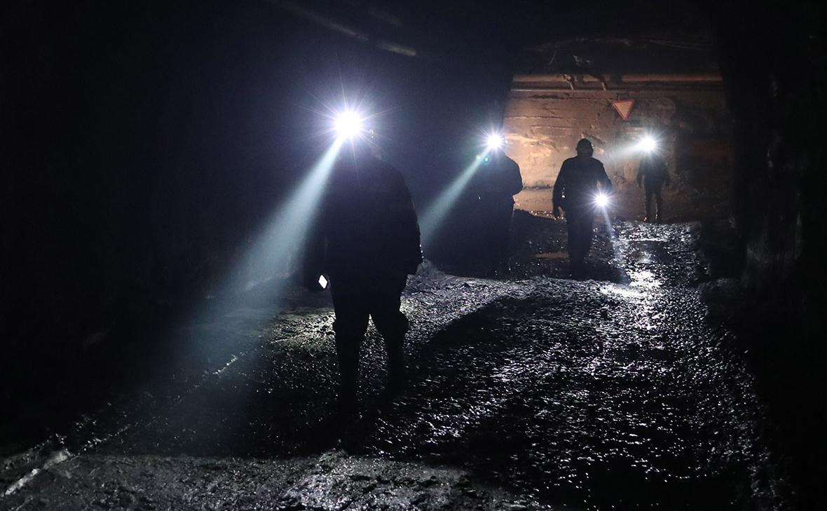 Фото: Донат Сорокин / ТАСС