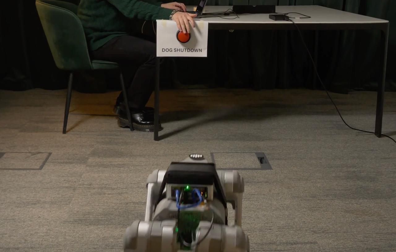 Кадр из видео Palisade Research