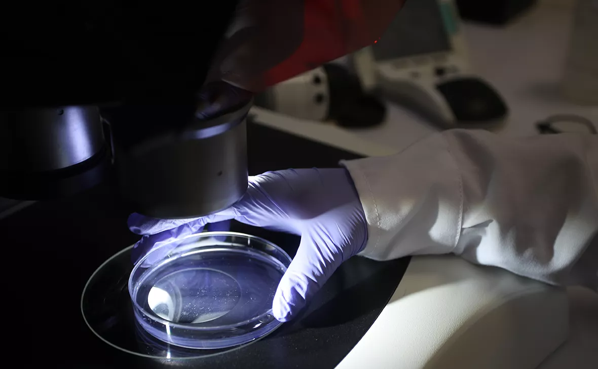 Raul Sifuentes / Getty Images