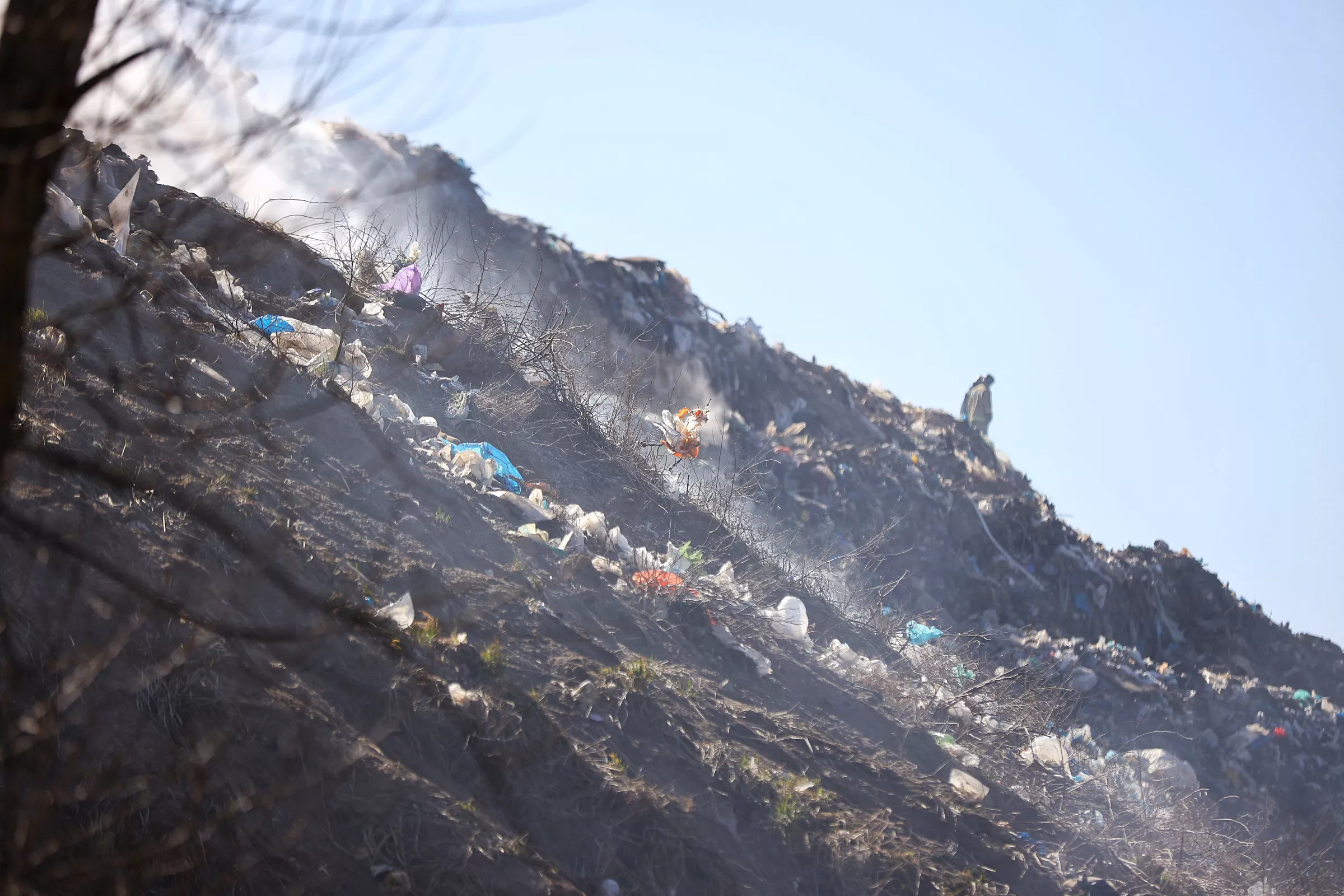 Александр Подгорчук